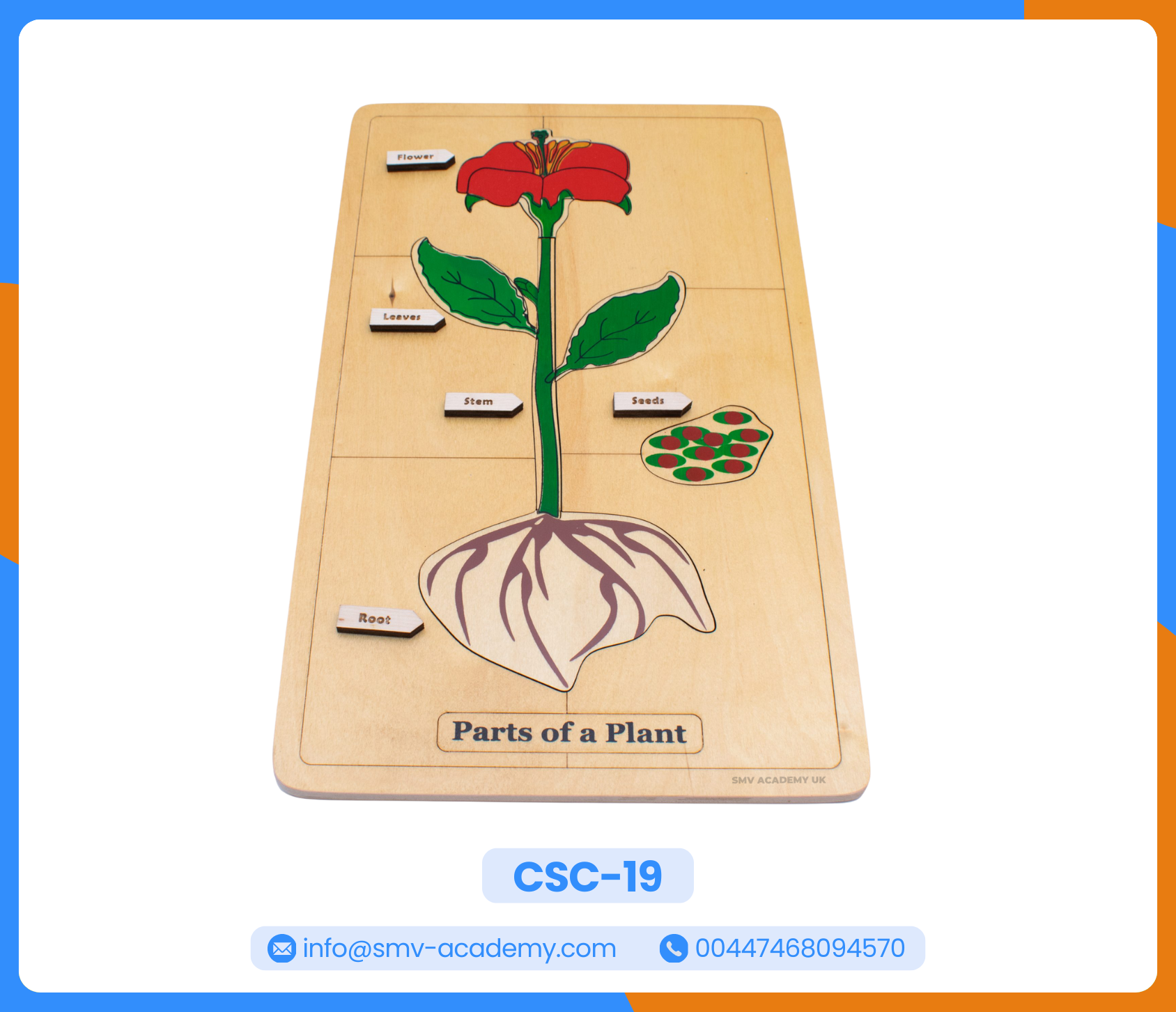 بازل أجزاء النبات - Parts of a Plant Puzzle